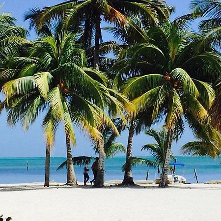 Axios Sun Apartments Caye Caulker Exteriér fotografie