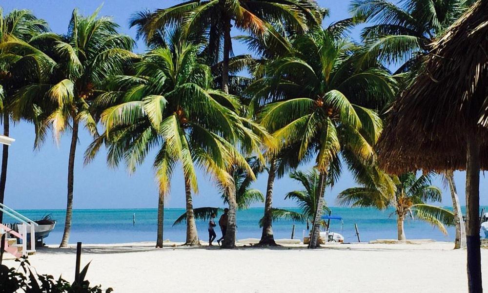 Axios Sun Apartments Caye Caulker Exteriér fotografie